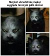 Niezły efekt