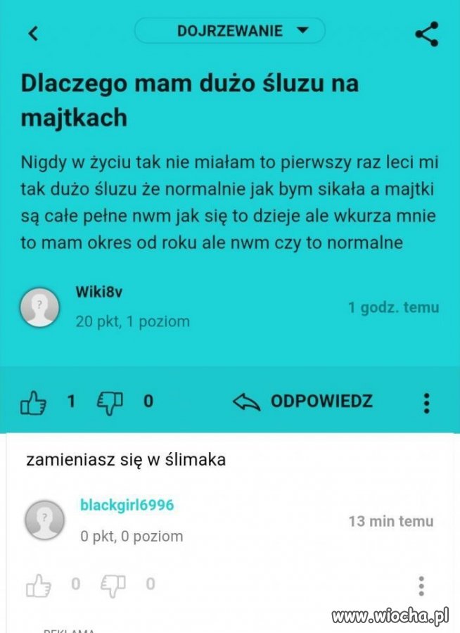Ślimak