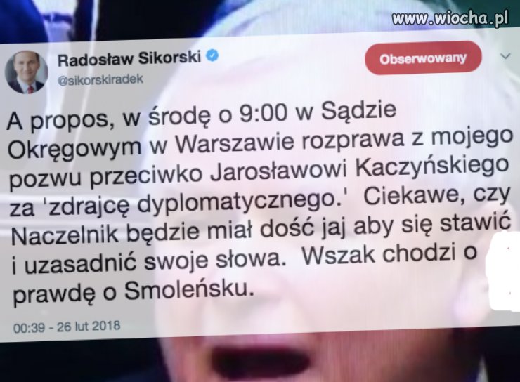 Balbina  jest jak kundel.
