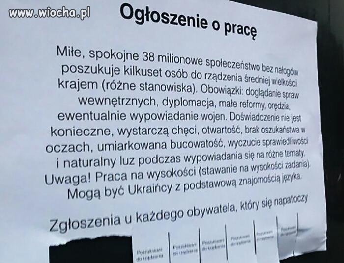 Idę pisać CV