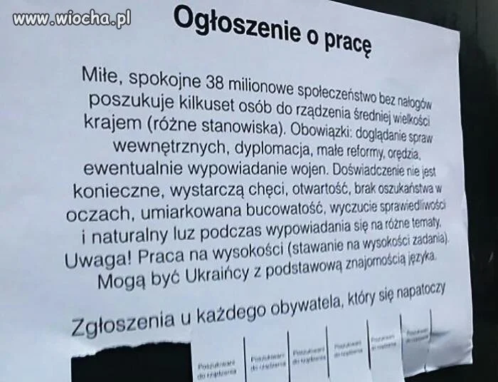 Idę pisać CV