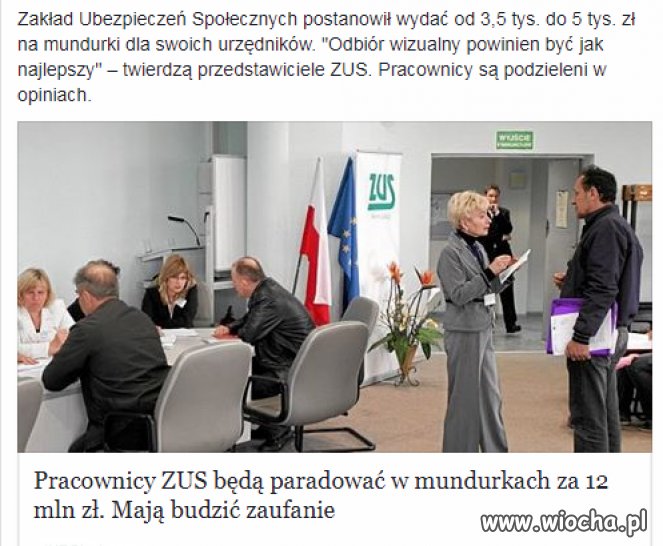 Po kiego grzyba?