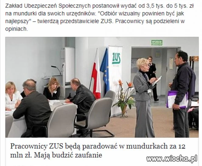 Po kiego grzyba?