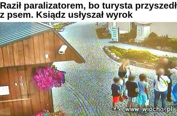 Turysta wszedł na teren parafii z yorkiem