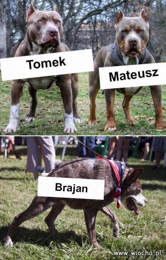 Imię wiele mówi