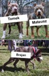 Imię wiele mówi