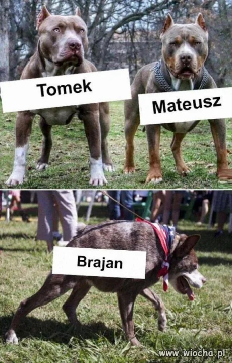 Imię wiele mówi