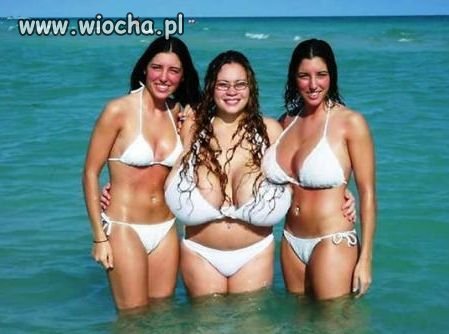 Różnorodność świetna ...