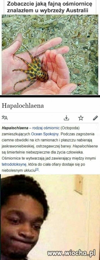 Miło było cię poznać