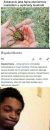Miło było cię poznać