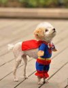Super 