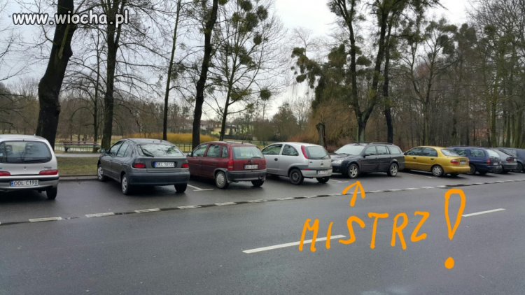 Prawdziwy Mistrz 