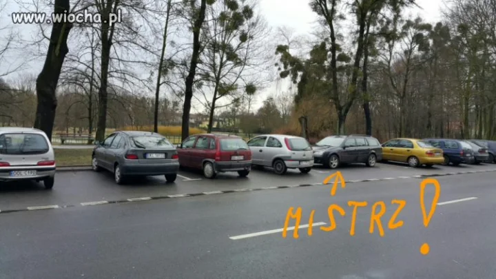 Prawdziwy Mistrz 