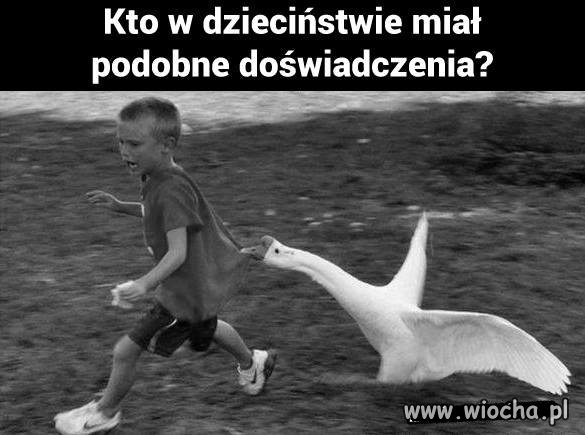 Nie ma to jak wakacje na wsi... 