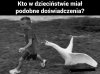 Nie ma to jak wakacje na wsi... 