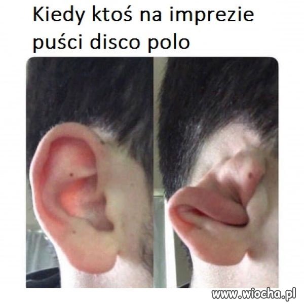Disco polo