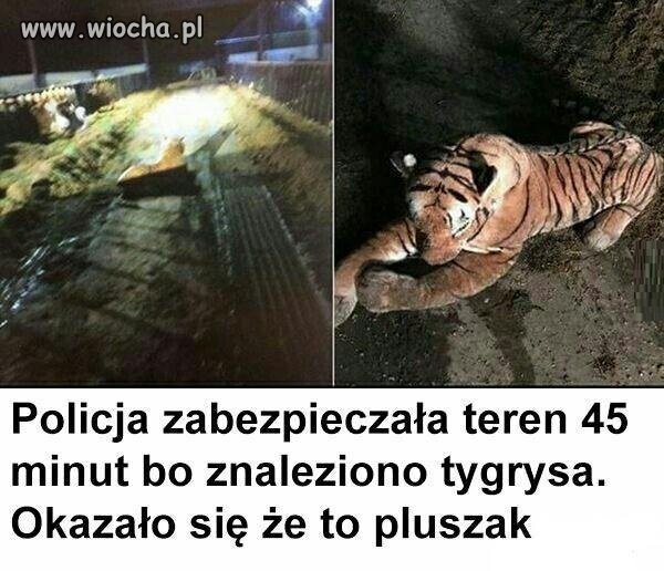 Powinni wybrać się do okulisty