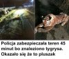 Powinni wybrać się do okulisty