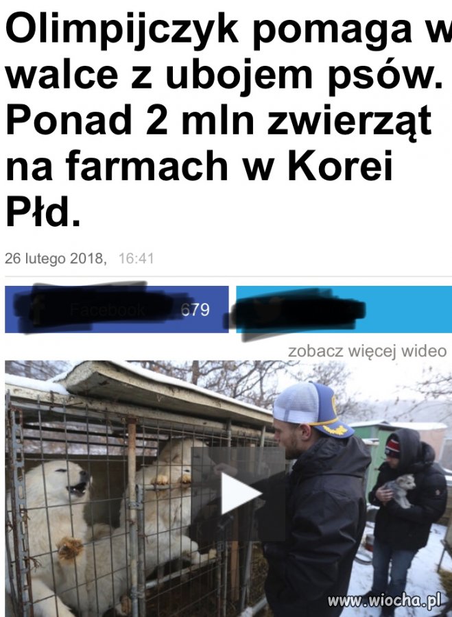 Ale steka z krowy