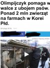 Ale steka z krowy