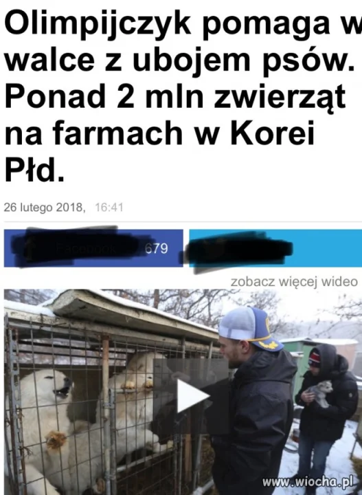 Ale steka z krowy