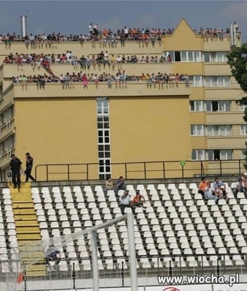 Kibol potrafi.