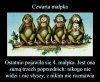 To efekt działania agenta Macierenki