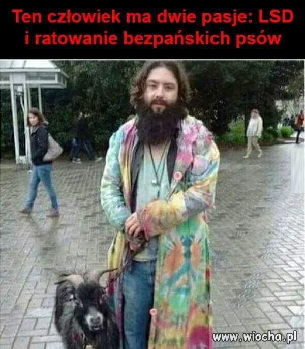 Jakiś dziwny ten pies