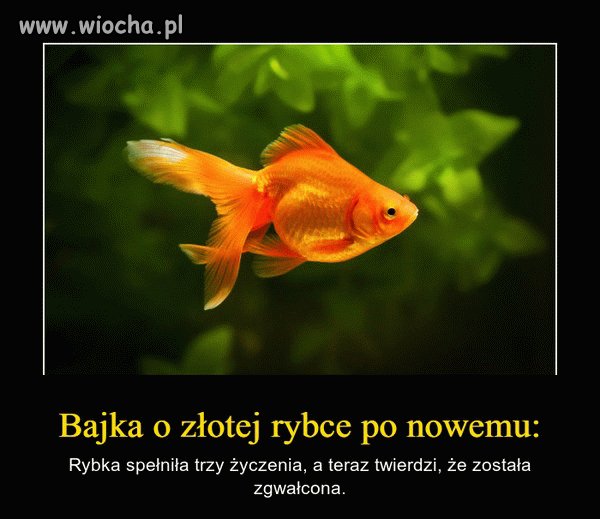 Pisane na nowo