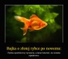 Pisane na nowo