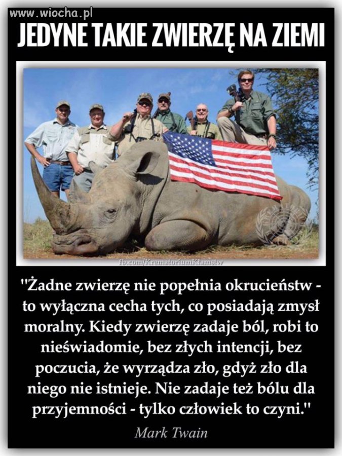 Niestety...