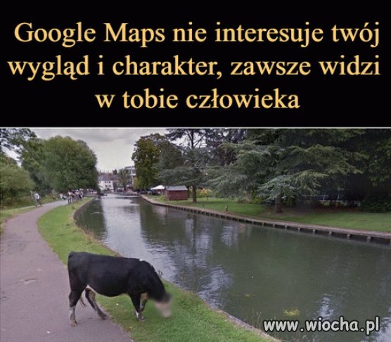 Całe Google
