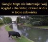 Całe Google