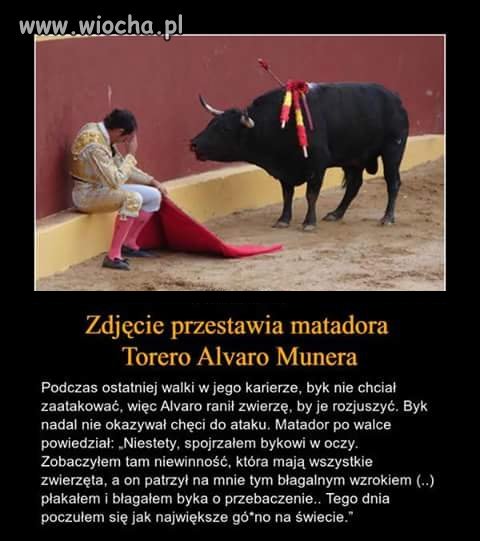 Szkoda tylko, że tak późno. 