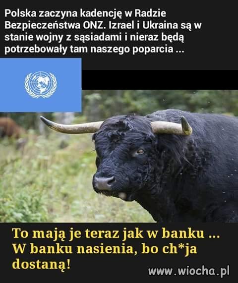 Poparcie tylko dla przyjaciół. 