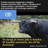 Poparcie tylko dla przyjaciół. 