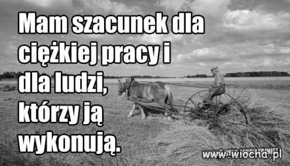 Nic tak nie uszlachetnia