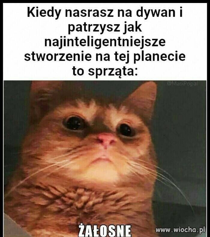 Ludzie są śmieszni
