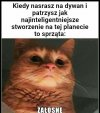 Ludzie są śmieszni