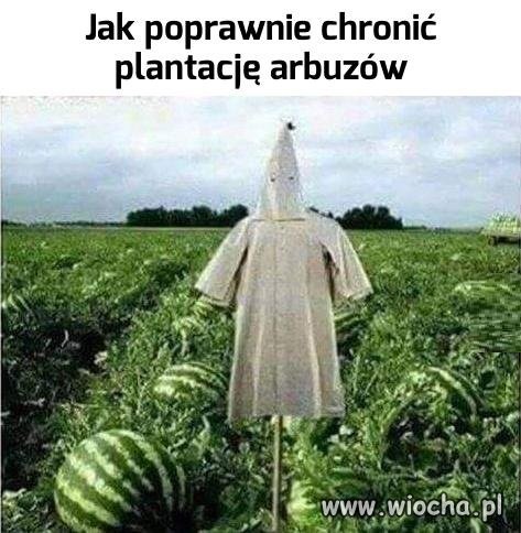 Najlepiej
