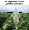 Najlepiej