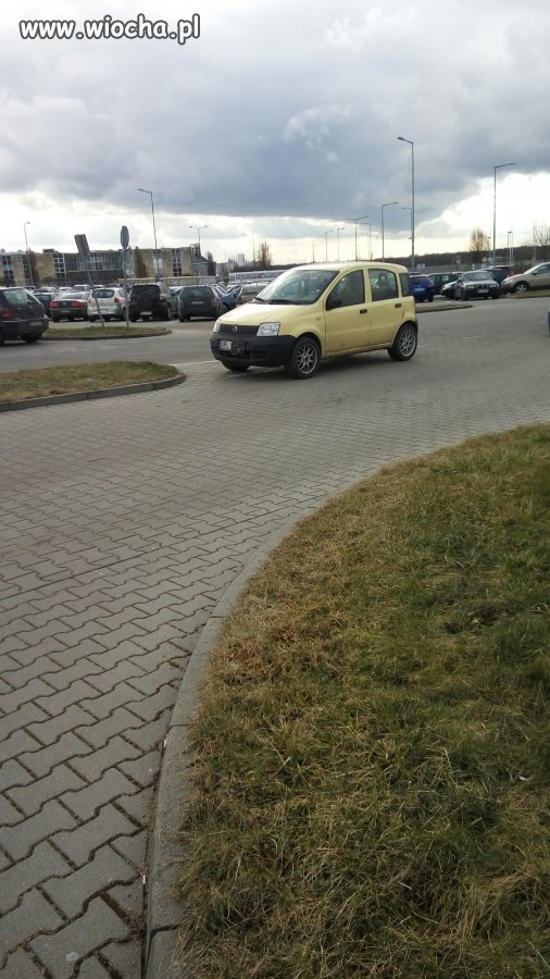 Mistrz parkowania