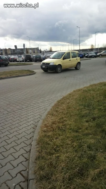 Mistrz parkowania