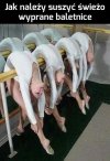 Jak należy suszyć świeżo wyprane baletnice