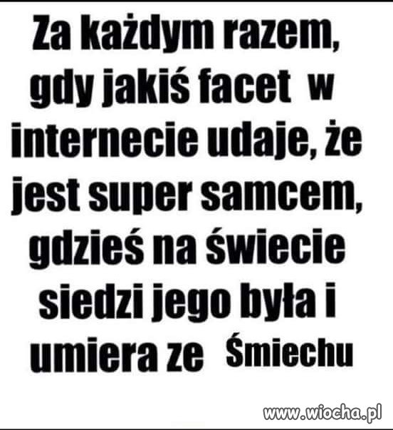 Samiec alfa