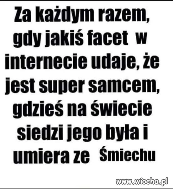 Samiec alfa