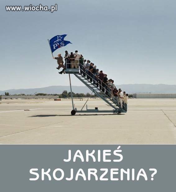 Wypisz wymaluj 