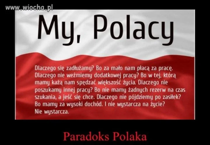 My polacy