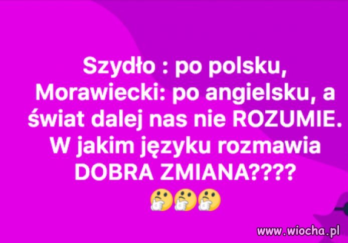 Język 