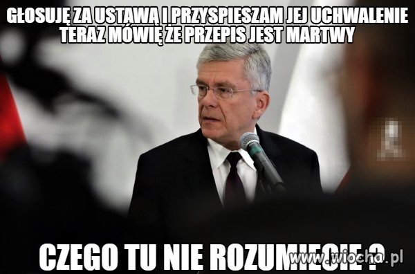 Wicie rozumicie